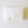Cushion Pillow-0