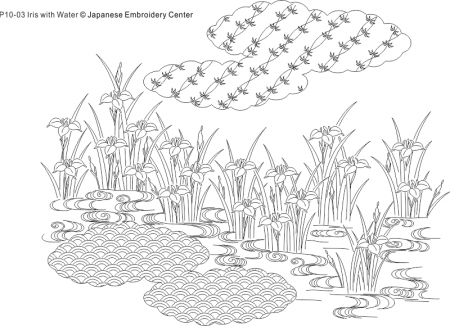 P10-03 Iris with Water-0