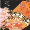 Nuido Journal 1999 Spring-0