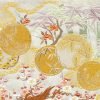 Nuido Journal 2000 Spring-0