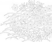1101 Yushoku Summer (top of design)-0
