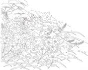 1102 Yushoku Summer (bottom of design)-0
