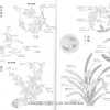 Japanese Embroidery Beginners Textbook (Japanese) - Image 3