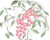 M13-04 Winter Nandina-0