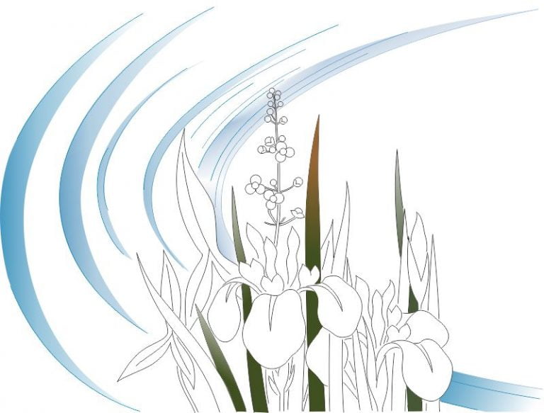 NESM13-08 Stream of Iris-0