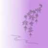 P15-09 Weeping Cherry Blossom - Image 2