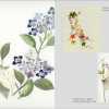 The World Nuido Collection (Japanese Embroidery) Vol II - Image 7