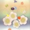 Pre Phase - Plums in Praise Online Course (discount for limited time!)-3601