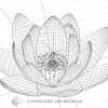 C21-01 Hana Mandala - Image 6