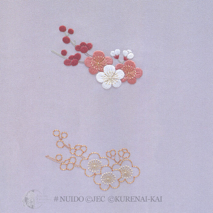 TXJBN05-04 Early Spring Plum
