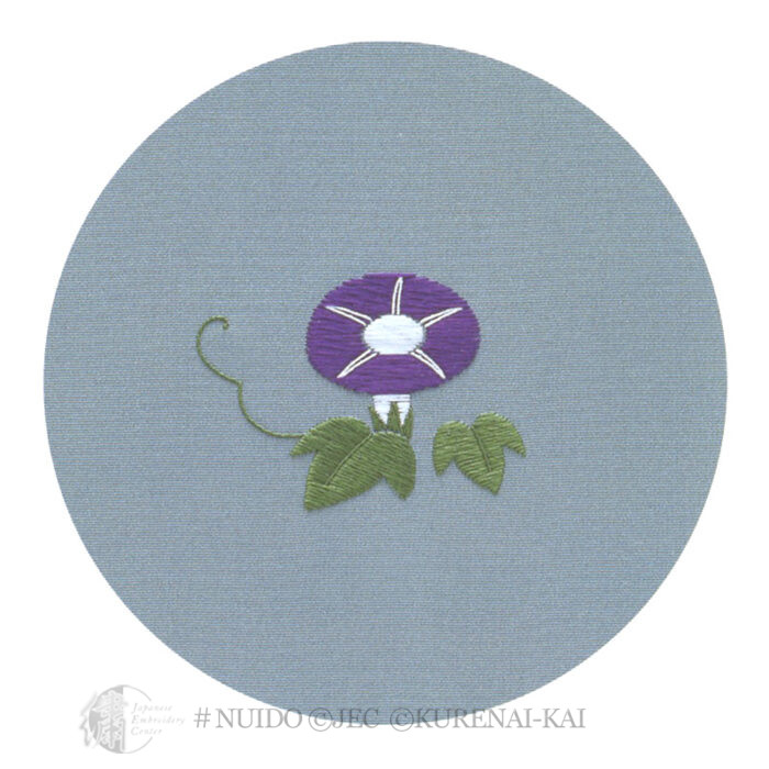 TXJBN05-11T Small Morning Glory