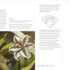 eBook - Ricamo giapponese Le tecniche basate sul Nuido (Italiano) - Image 7