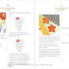 eBook - Ricamo giapponese Le tecniche basate sul Nuido (Italiano) - Image 3