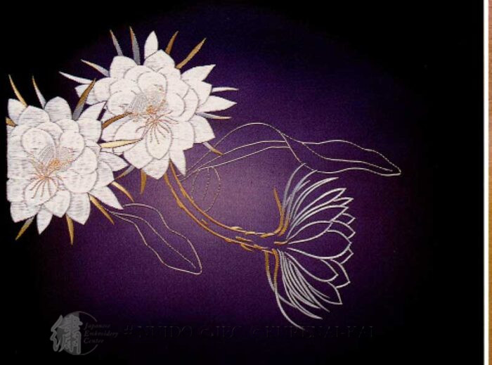 PF2683-263 Queen of the Night Flower