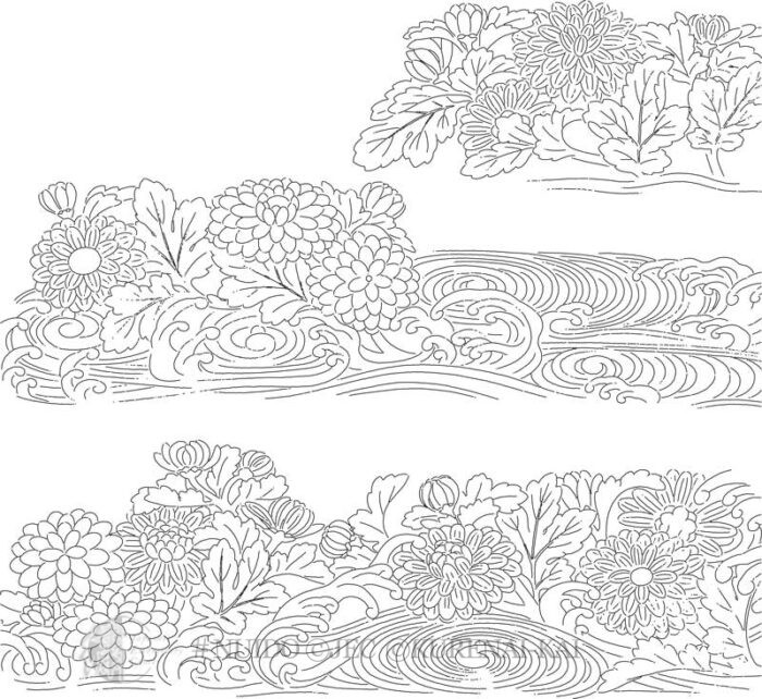 C09-01 Chrysanthemum Flow