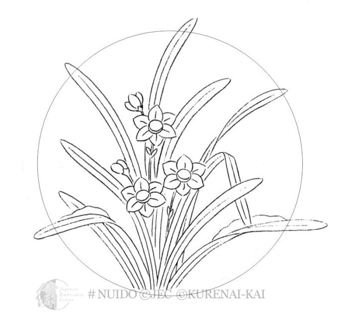 M00-02 Narcissus