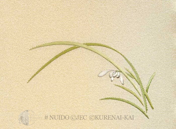 M04-03 An Orchid