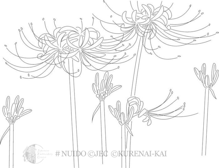 NEFL07-06 Higan-bana (Cluster Amaryllis)