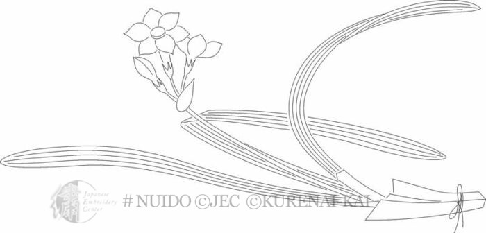 NESR08-08 Narcissus in Noshi