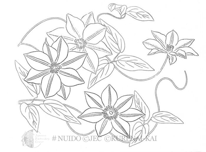 P158 Clematis