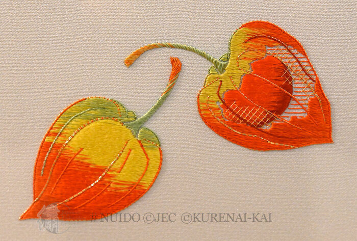 NEFL23-BC Hozuki - Lantern Plant